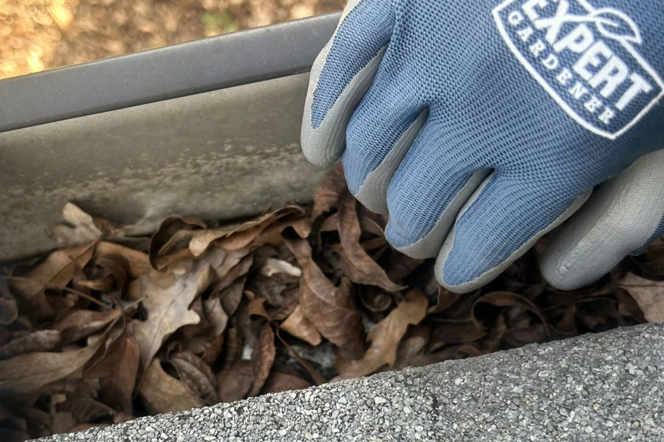 Clinton Gutter Cleaning